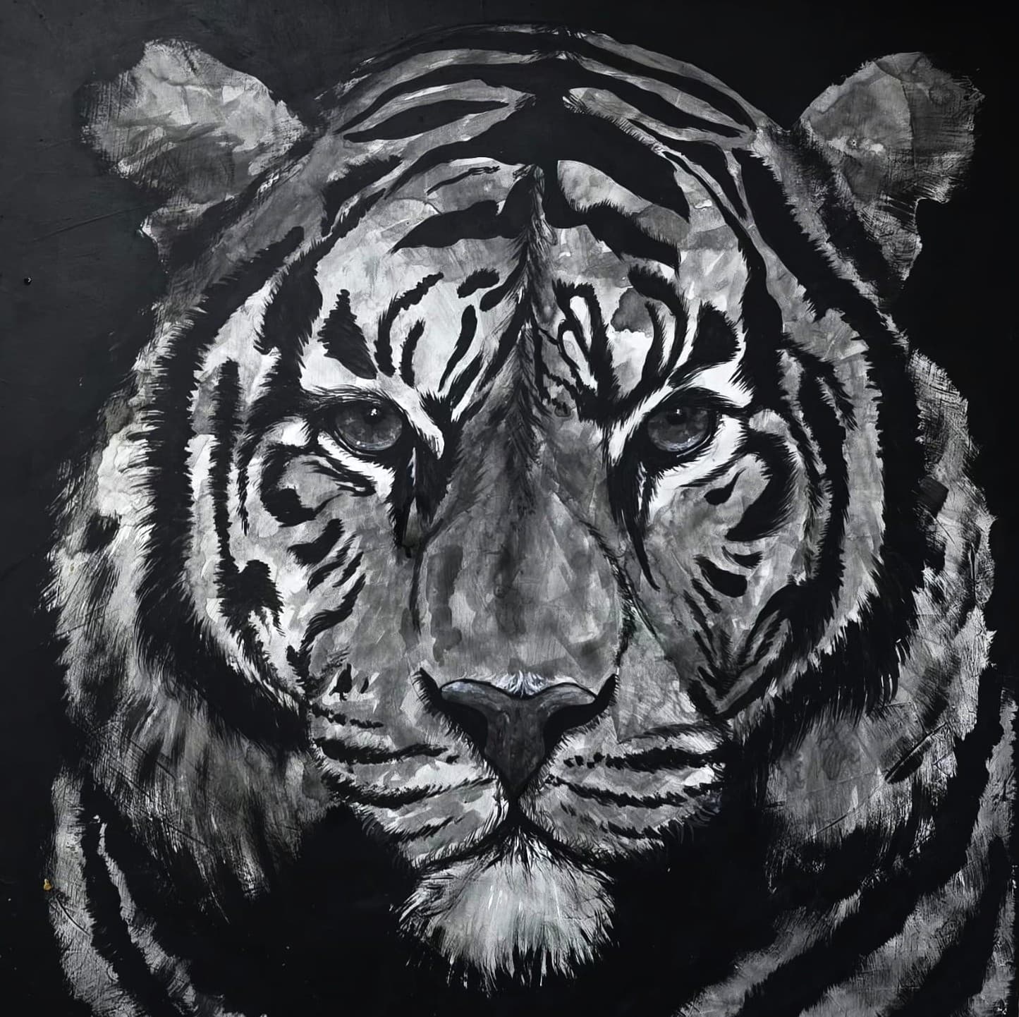 Tigre